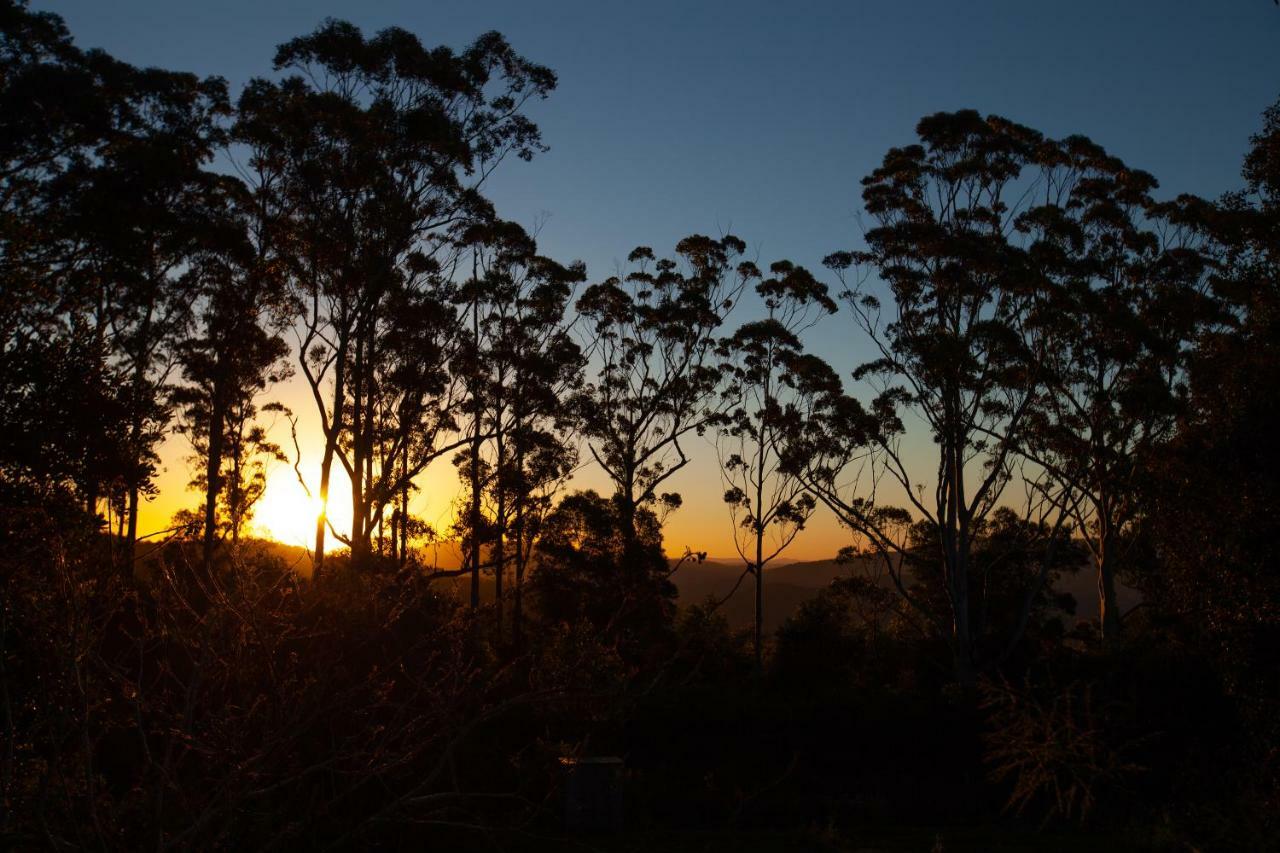 Awesome Glamping Gold Coast Hinterland Hotel Advancetown Zewnętrze zdjęcie